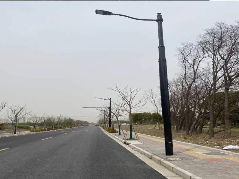 江北区上海综合杆 太阳能路灯工程